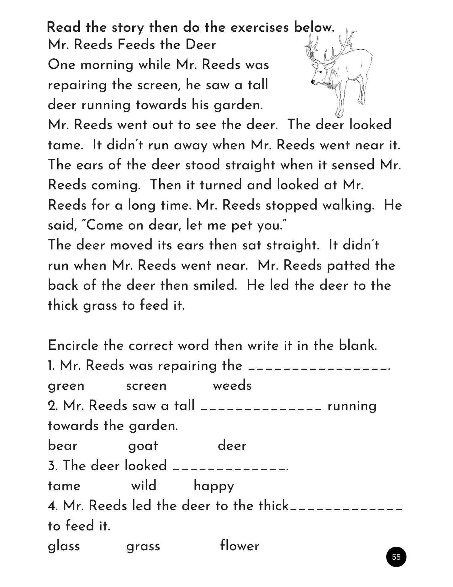 My First Reading Book 3 - Initial Blends, Digraphs & Long Vowel Stories with Creatve Activities